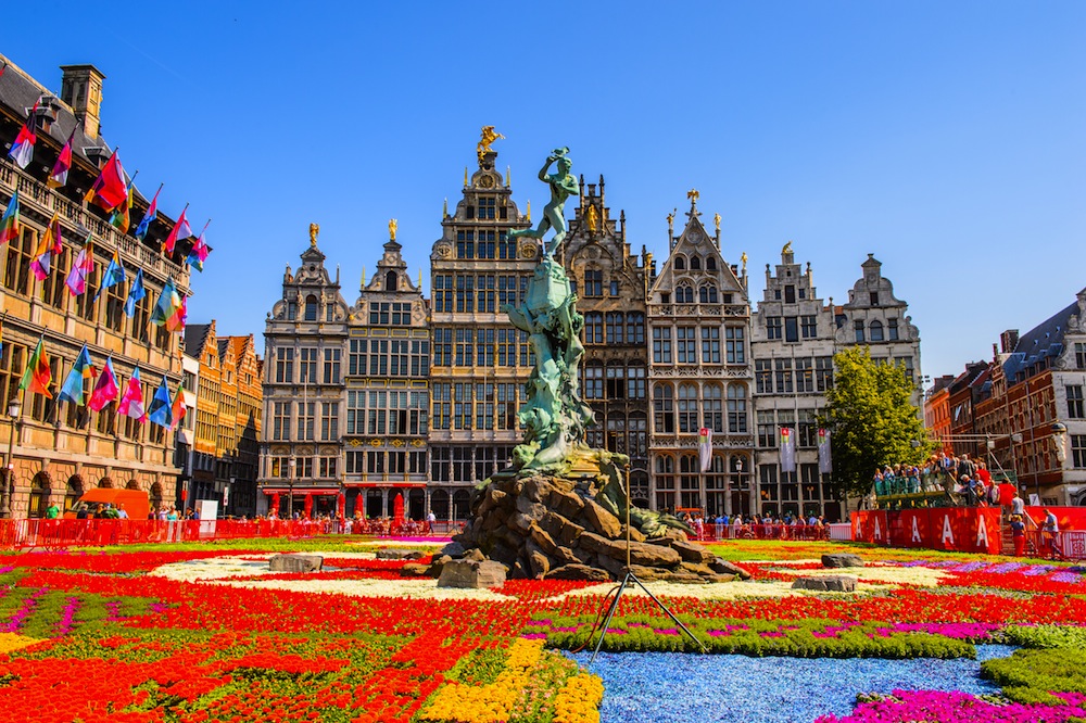 AMBERES PLAZA MAYOR FLORES BELGICA CRUCEROS BELGICA CRUCEROS TULIPANES CRUCEROS PAISES BAJOS AMBERES